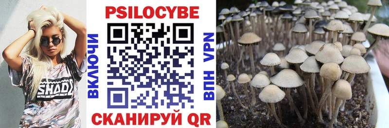магазин продажи наркотиков  Беслан  Псилоцибиновые грибы Psilocybine cubensis 